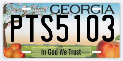 GA license plate PTS5103