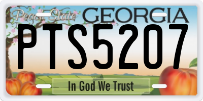 GA license plate PTS5207