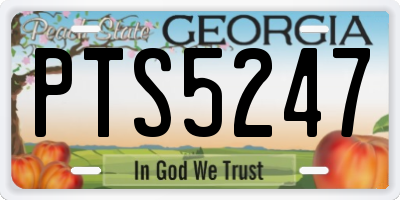 GA license plate PTS5247