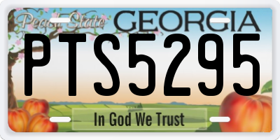 GA license plate PTS5295