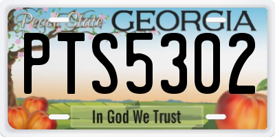GA license plate PTS5302