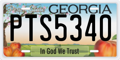 GA license plate PTS5340