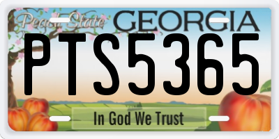GA license plate PTS5365