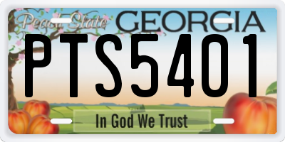 GA license plate PTS5401