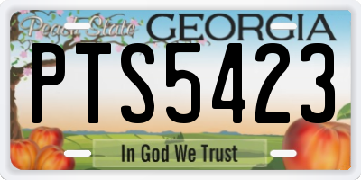 GA license plate PTS5423