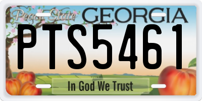GA license plate PTS5461