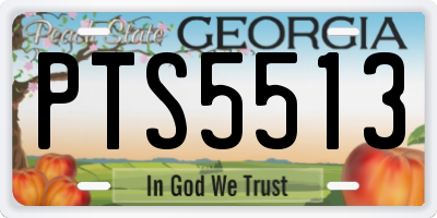 GA license plate PTS5513