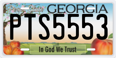 GA license plate PTS5553
