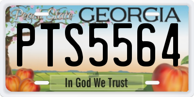 GA license plate PTS5564