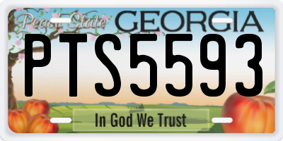 GA license plate PTS5593