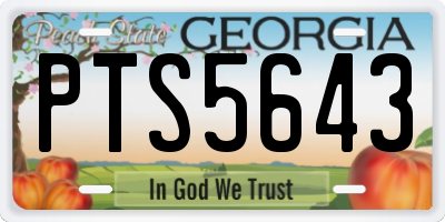 GA license plate PTS5643