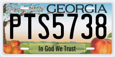 GA license plate PTS5738