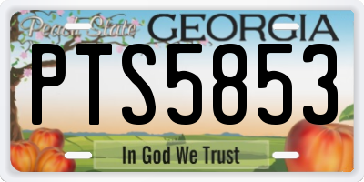 GA license plate PTS5853