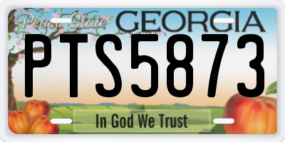 GA license plate PTS5873