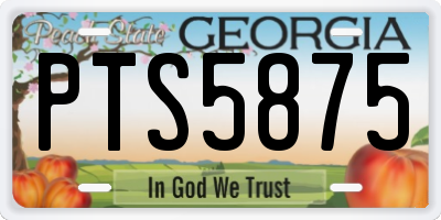 GA license plate PTS5875