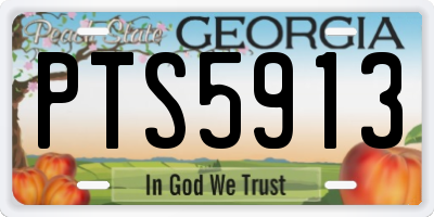 GA license plate PTS5913