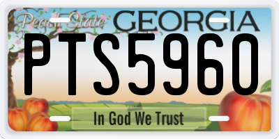 GA license plate PTS5960