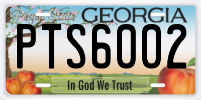 GA license plate PTS6002