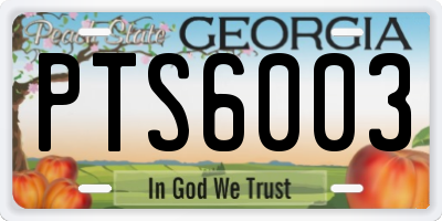 GA license plate PTS6003