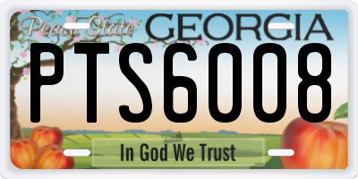 GA license plate PTS6008