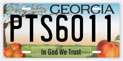 GA license plate PTS6011