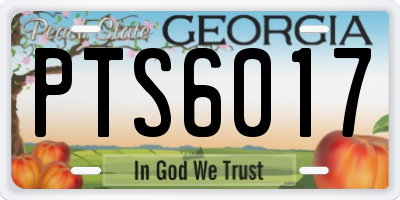 GA license plate PTS6017