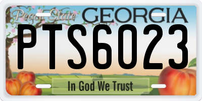 GA license plate PTS6023