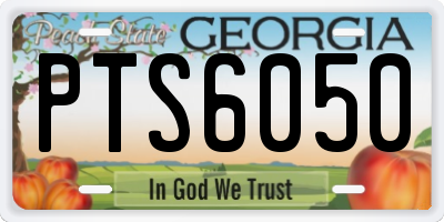GA license plate PTS6050