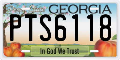 GA license plate PTS6118