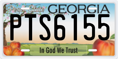 GA license plate PTS6155