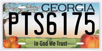 GA license plate PTS6175