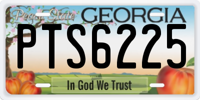 GA license plate PTS6225