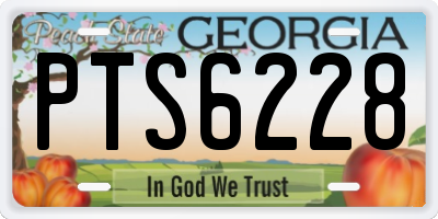 GA license plate PTS6228