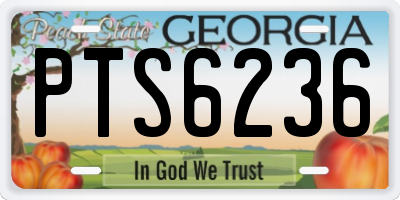 GA license plate PTS6236