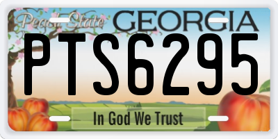 GA license plate PTS6295