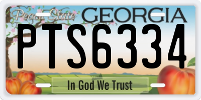GA license plate PTS6334