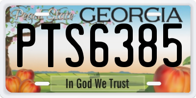 GA license plate PTS6385