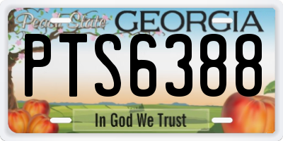 GA license plate PTS6388