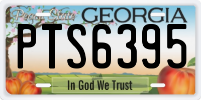 GA license plate PTS6395