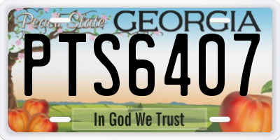 GA license plate PTS6407