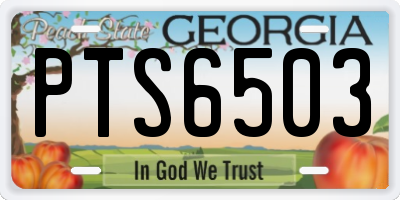GA license plate PTS6503