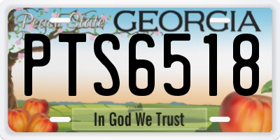 GA license plate PTS6518