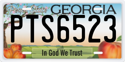GA license plate PTS6523