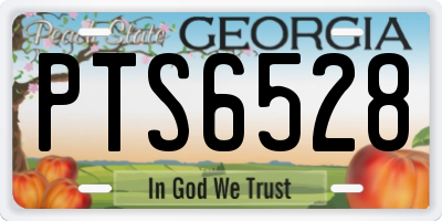 GA license plate PTS6528
