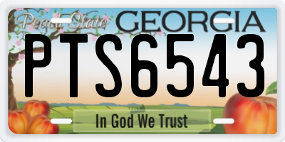 GA license plate PTS6543