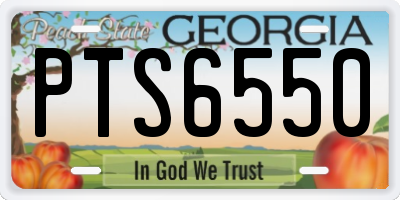 GA license plate PTS6550