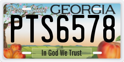GA license plate PTS6578
