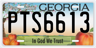 GA license plate PTS6613