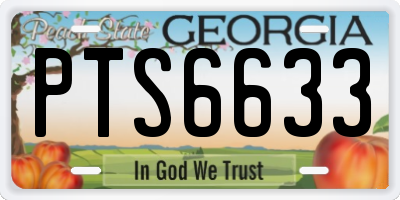GA license plate PTS6633