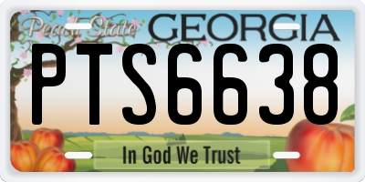 GA license plate PTS6638